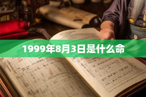 1999年8月3日是什么命