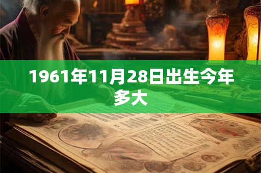1961年11月28日出生今年多大