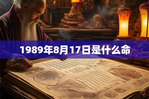 1989年8月17日是什么命