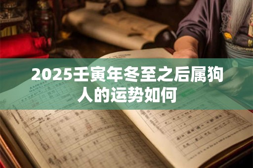 2025壬寅年冬至之后属狗人的运势如何 2025壬寅年冬至之后属狗人的运势如何