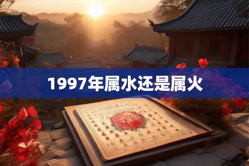 1997年属水还是属火