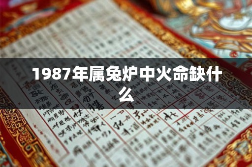 1987年属兔炉中火命缺什么