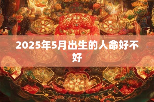 2025年5月出生的人命好不好