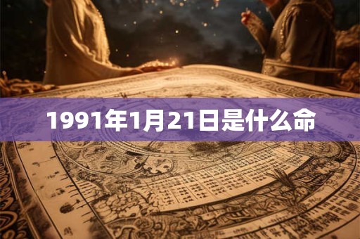 1991年1月21日是什么命