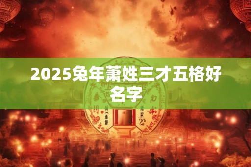 2025兔年萧姓三才五格好名字