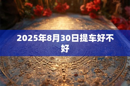 2025年8月30日提车好不好