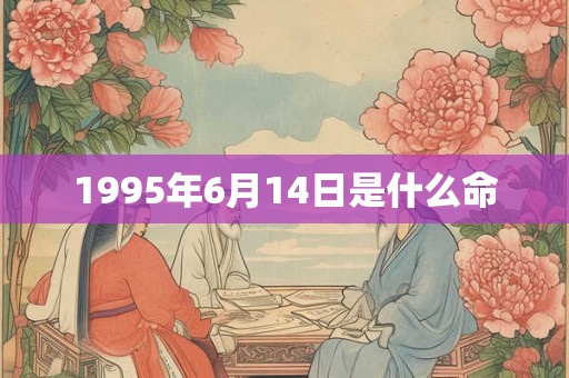 1995年6月14日是什么命