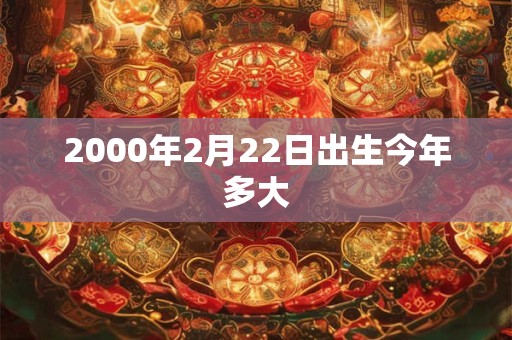 2000年2月22日出生今年多大