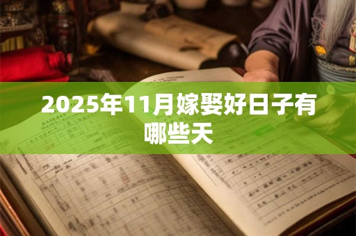 2025年11月嫁娶好日子有哪些天