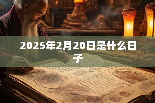 2025年2月20日是什么日子