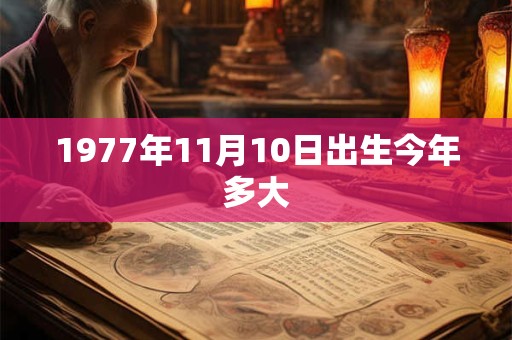 1977年11月10日出生今年多大