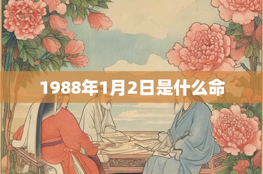 1988年1月2日是什么命
