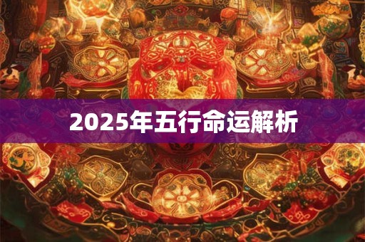 2025年五行命运解析