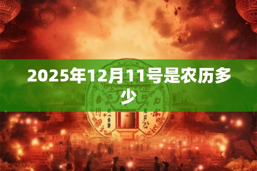 2025年12月11号是农历多少