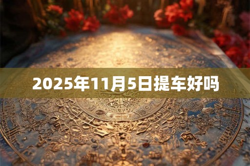 2025年11月5日提车好吗