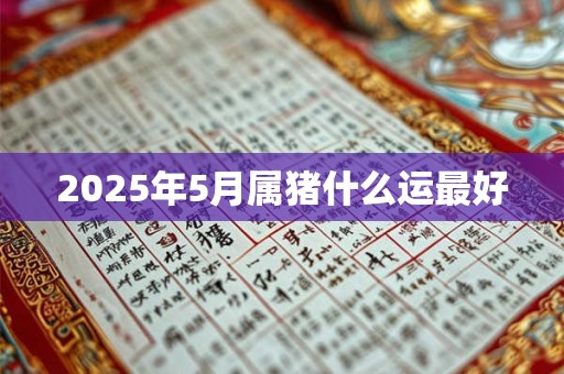 2026年5月属猪什么运最好
