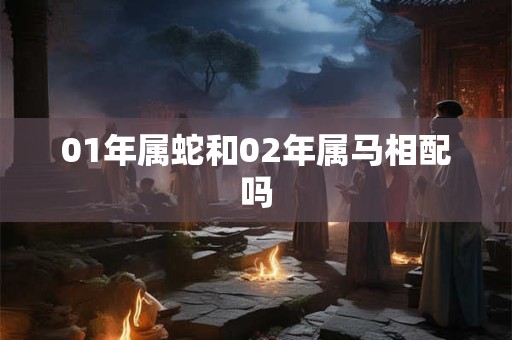01年属蛇和02年属马相配吗