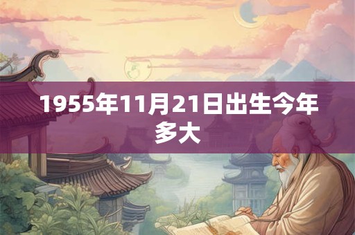 1955年11月21日出生今年多大