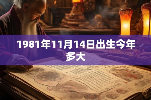1981年11月14日出生今年多大