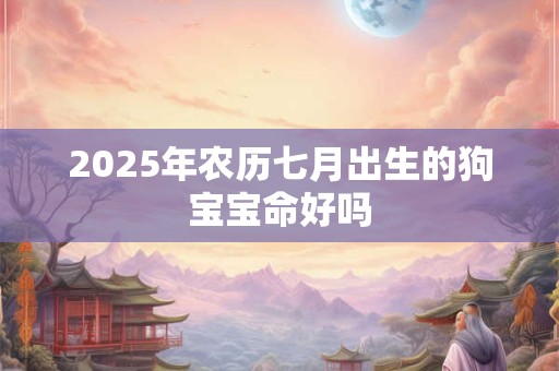 2025年农历七月出生的狗宝宝命好吗