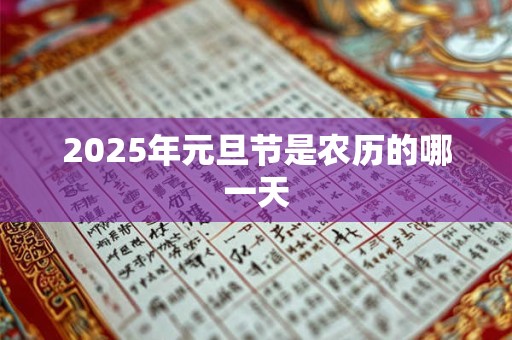 2025年元旦节是农历的哪一天