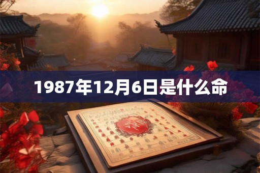 1987年12月6日是什么命 1987年12月6日是什么命
