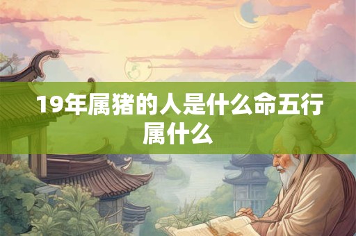 19年属猪的人是什么命五行属什么