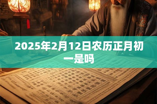 2025年2月12日农历正月初一是吗