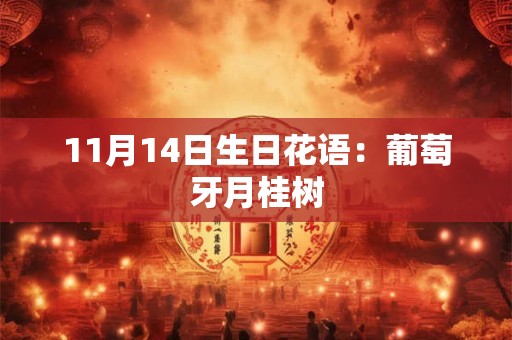 11月14日生日花语：葡萄牙月桂树