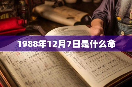 1988年12月7日是什么命