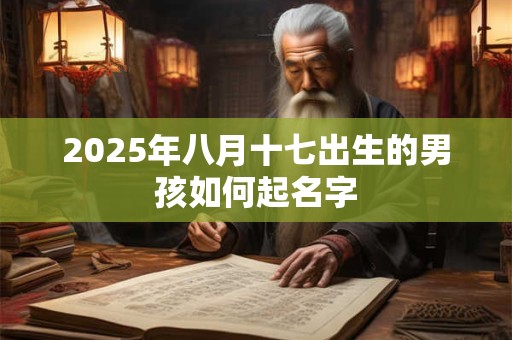 2025年八月十七出生的男孩如何起名字