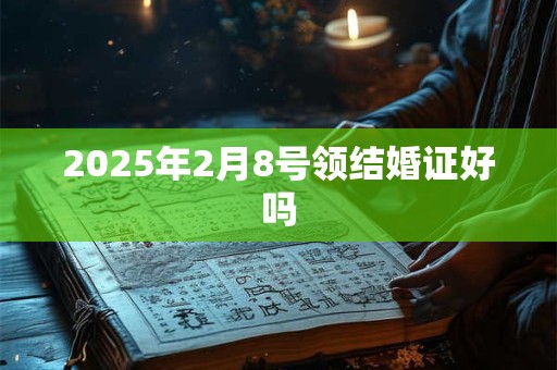 2025年2月8号领结婚证好吗