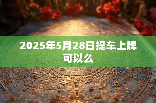 2025年5月28日提车上牌可以么