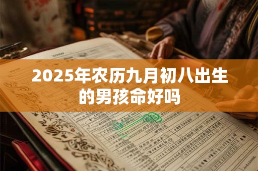 2025年农历九月初八出生的男孩命好吗