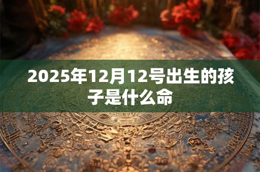 2025年12月12号出生的孩子是什么命