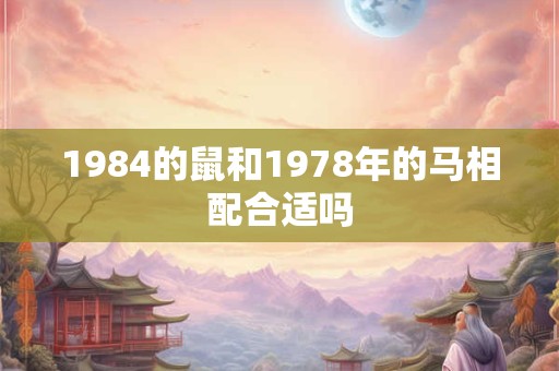 1984的鼠和1978年的马相配合适吗