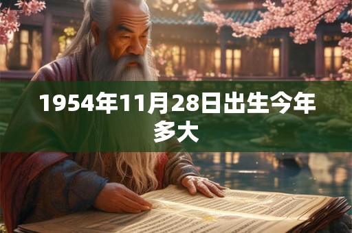 1954年11月28日出生今年多大