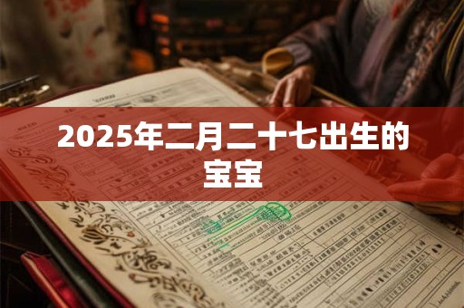 2026年二月二十七出生的宝宝