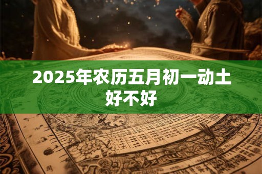 2025年农历五月初一动土好不好
