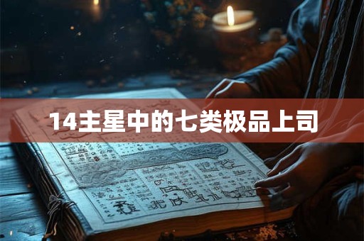 14主星中的七类极品上司