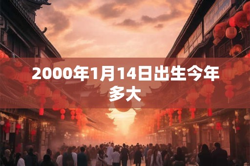 2000年1月14日出生今年多大
