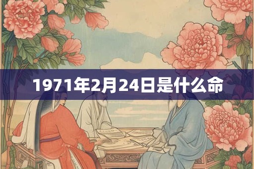1971年2月24日是什么命