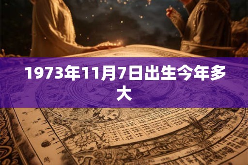 1973年11月7日出生今年多大