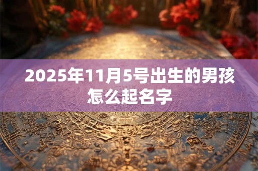 2025年11月5号出生的男孩怎么起名字