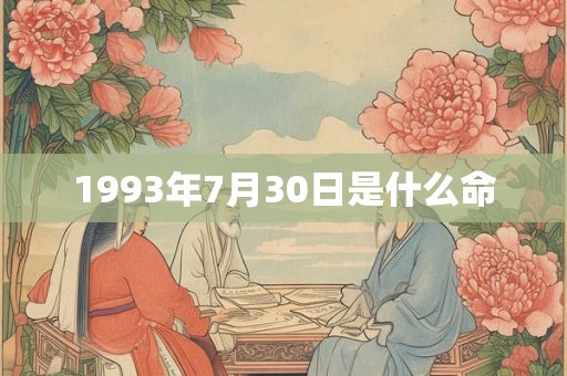 1993年7月30日是什么命