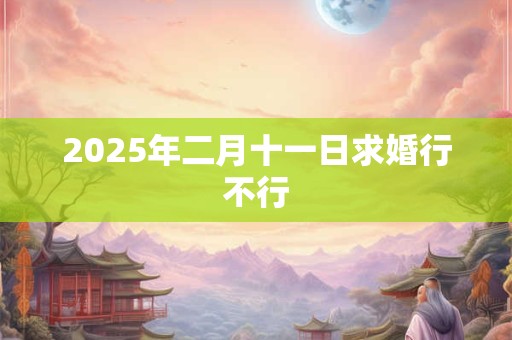 2026年二月十一日求婚行不行