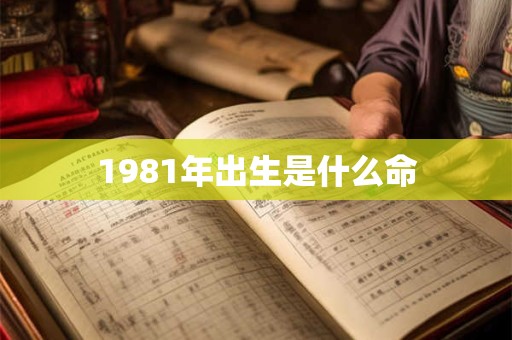 1981年出生是什么命