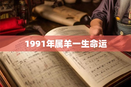 1991年属羊一生命运