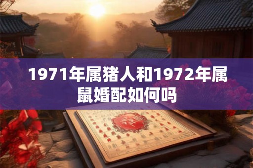 1971年属猪人和1972年属鼠婚配如何吗