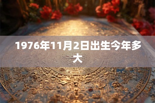 1976年11月2日出生今年多大